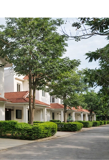Mulberry Meadows